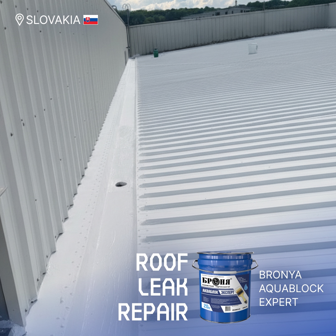 Repairing Leaks on a Metal Roof with "Bronya AquaBlock Expert" in Slovakia (photos, video)