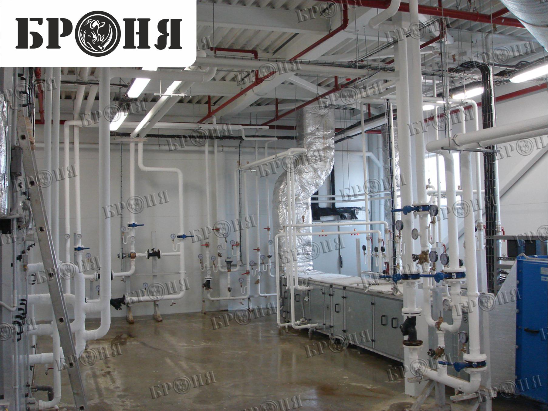 Photo report on the insulation with Bronya - "Nutricia - Danone" in Istra, Moscow region