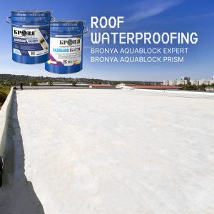 Roof Repair with "Bronya AquaBlock Expert" and "Bronya AquaBlock Prism" in Blagoveshchensk (photos, video)