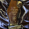 Bronya" - Winner of "ESG Excellence Awards 2025" (award ceremony photos)
