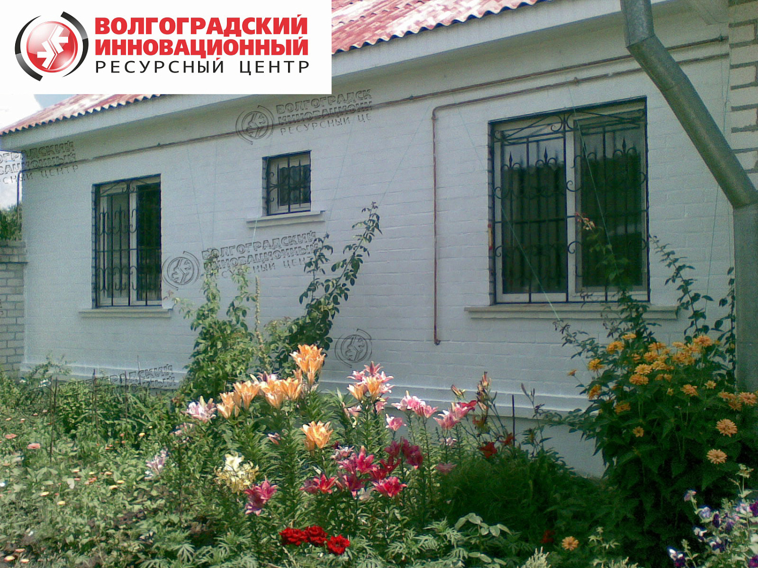 Украина Луганская область г. Рубежное, частный дом ул Кирова дом 7
