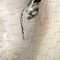 "Bronya Light", insulation of a concrete wall