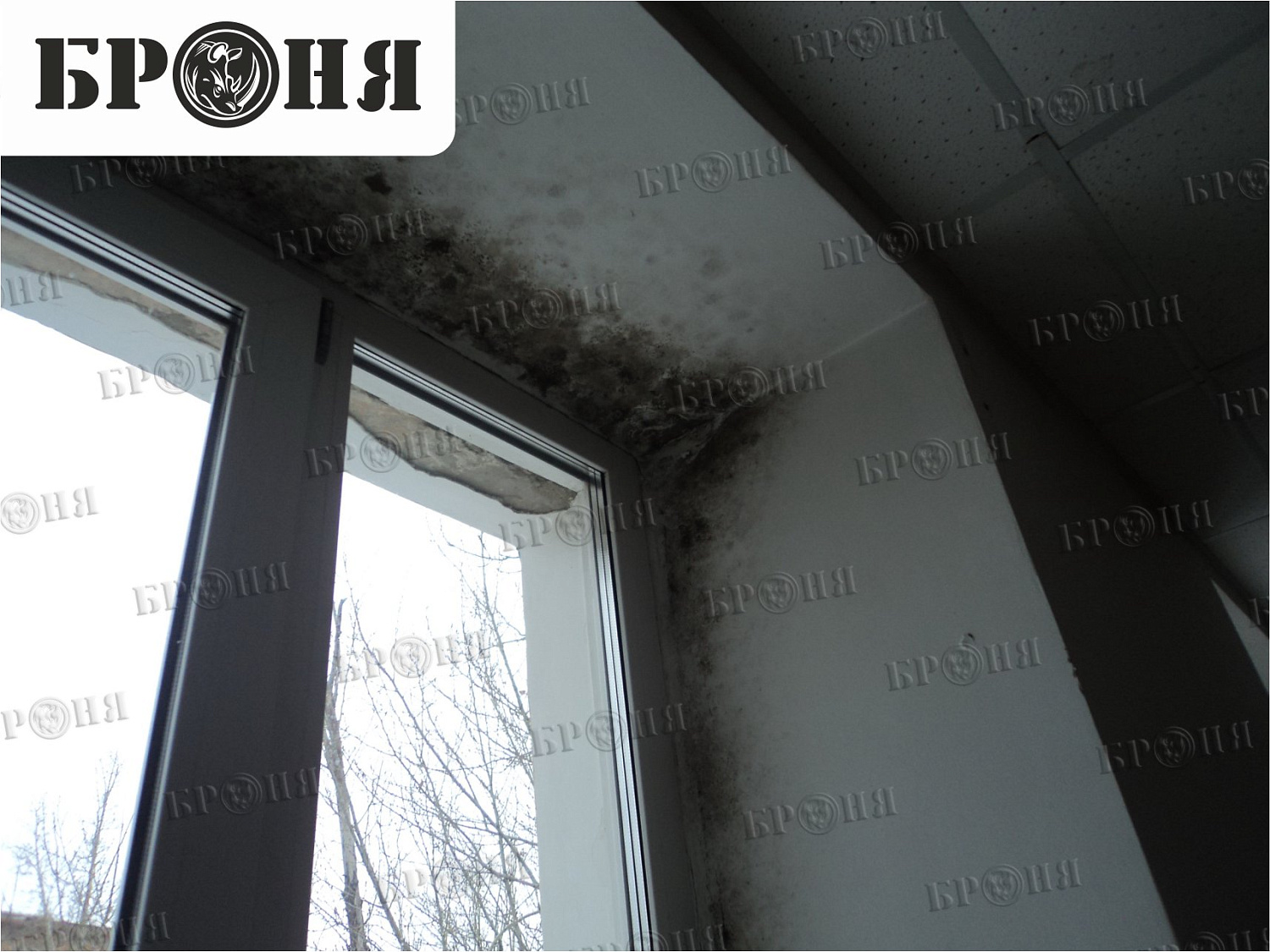 Zabaykalsky Krai, window jambs