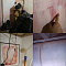 Insulation of a garage box using Bronya NORD (photo + video)