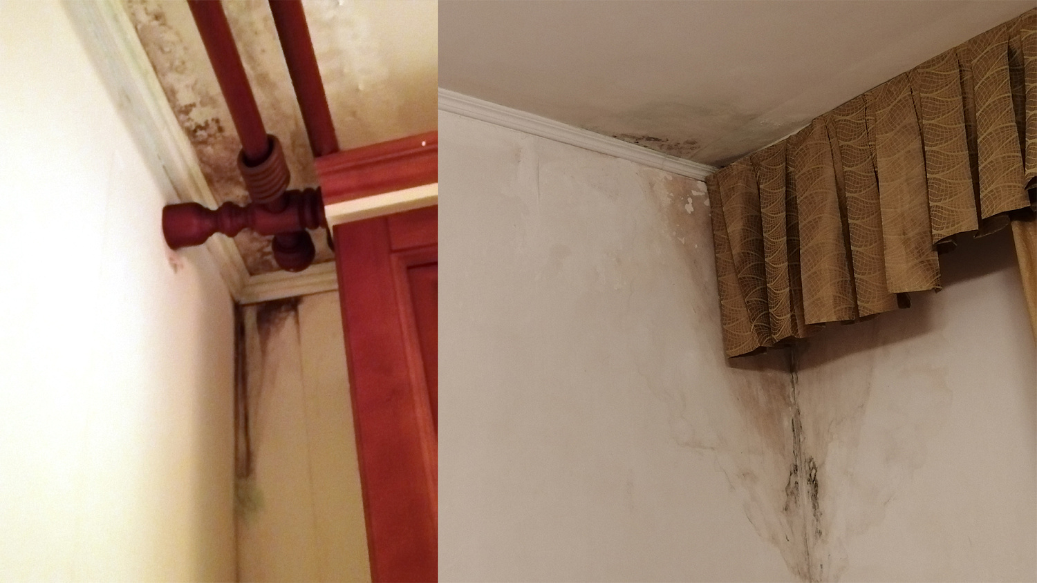 Bronya Grunt, Wall, Light when removing frost penetration and mold in the apartment. Krasnoyarsk